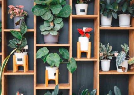 Artificial Plants